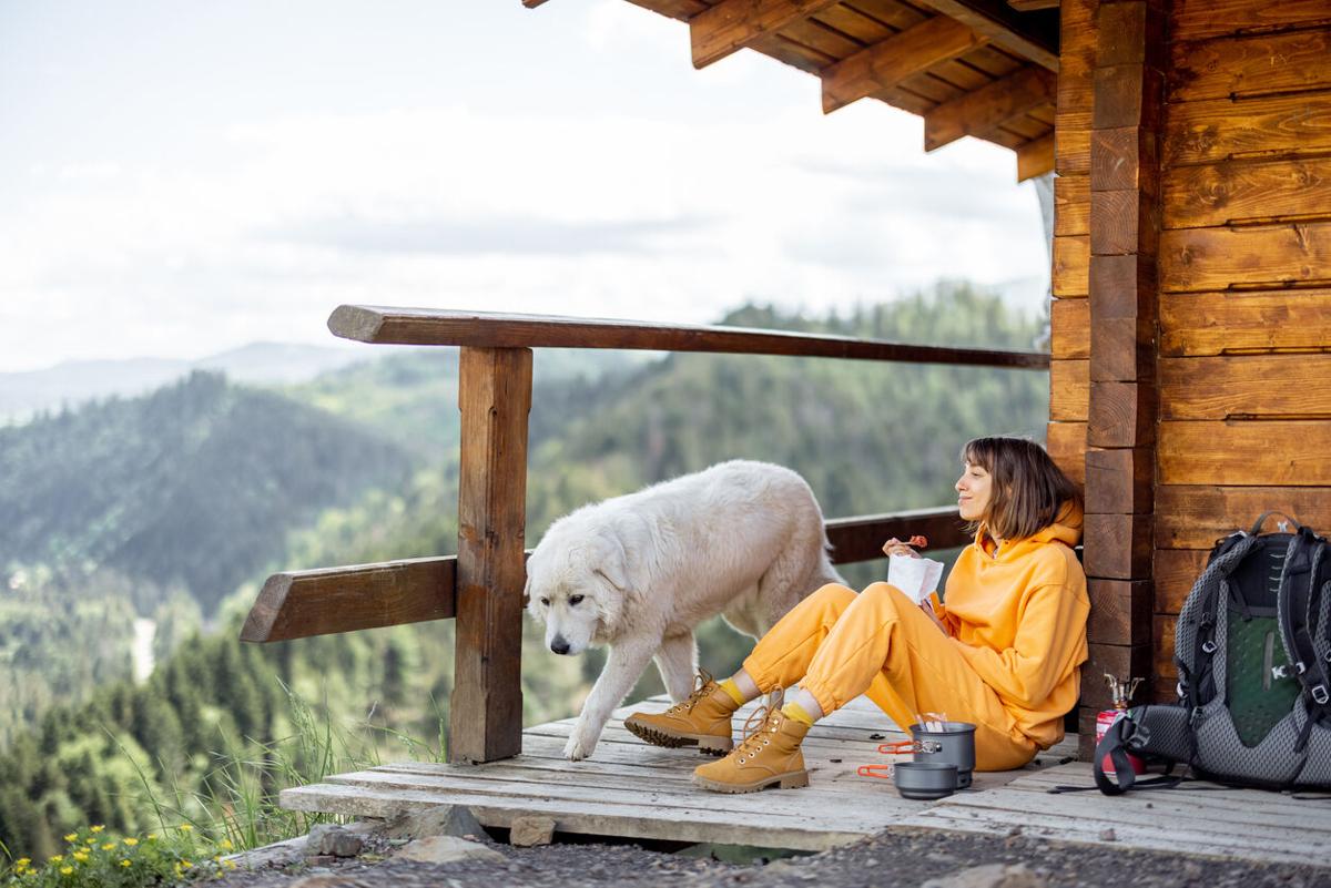 Unforgettable Hiking Getaways for Pups and their People