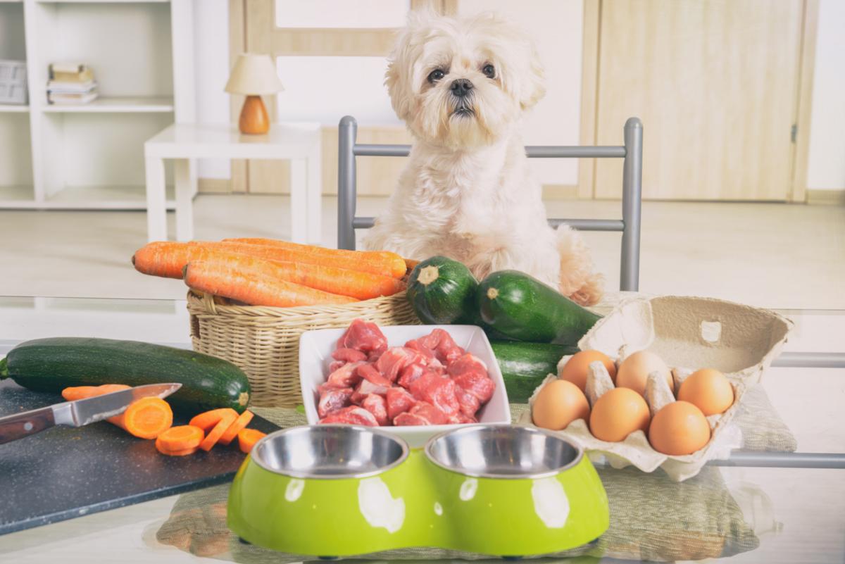Why (and how) More Pet Parents than Ever are Cooking Meals for their Dogs