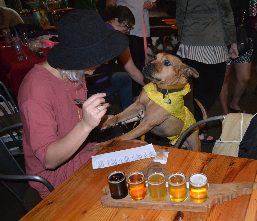 Dog Friendly Breweries