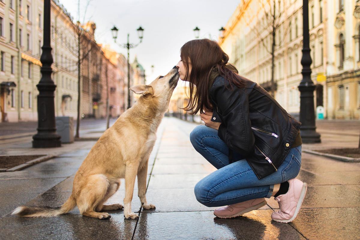 Go Back in Time with Your Pooch at These Pet-Friendly Historical Walking Tours