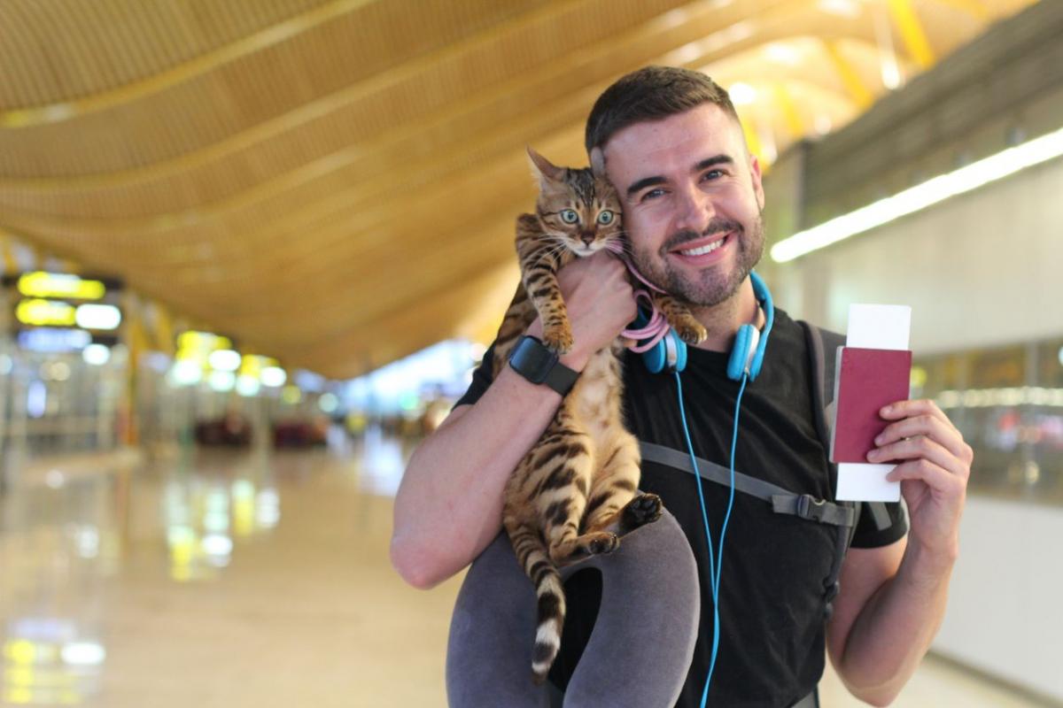 Take Your Pet With You by Rail