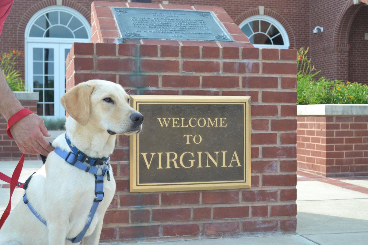 Pet Friendly Day Trips in Virginia