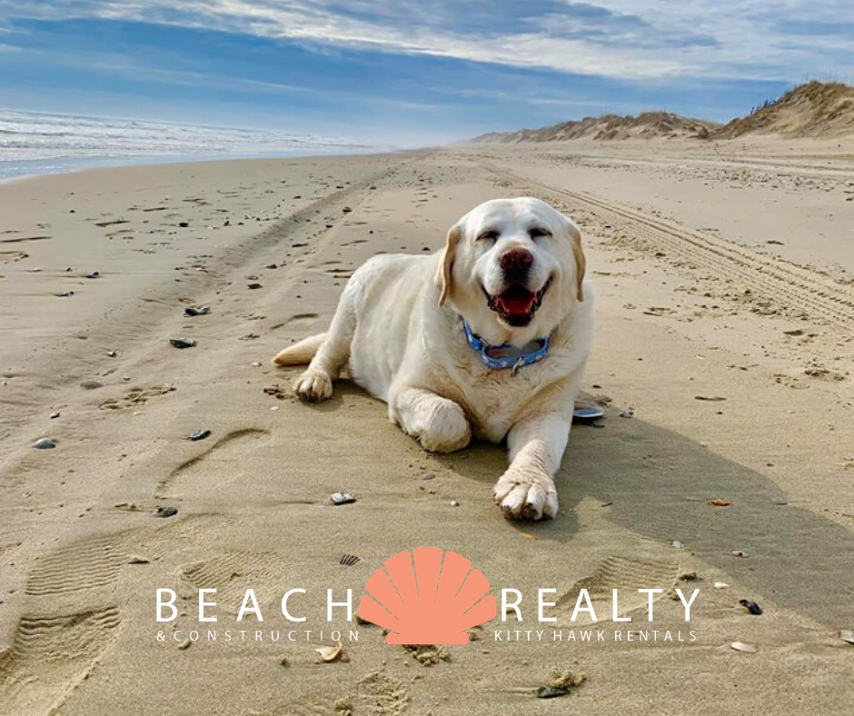 Beach Realty NC and Kitty Hawk Rentals